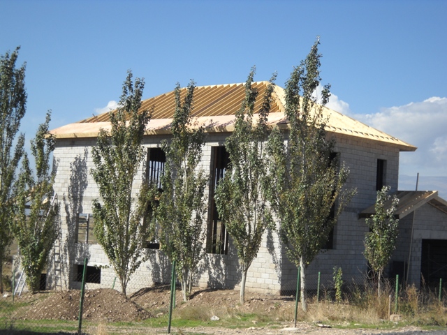 Slide Image